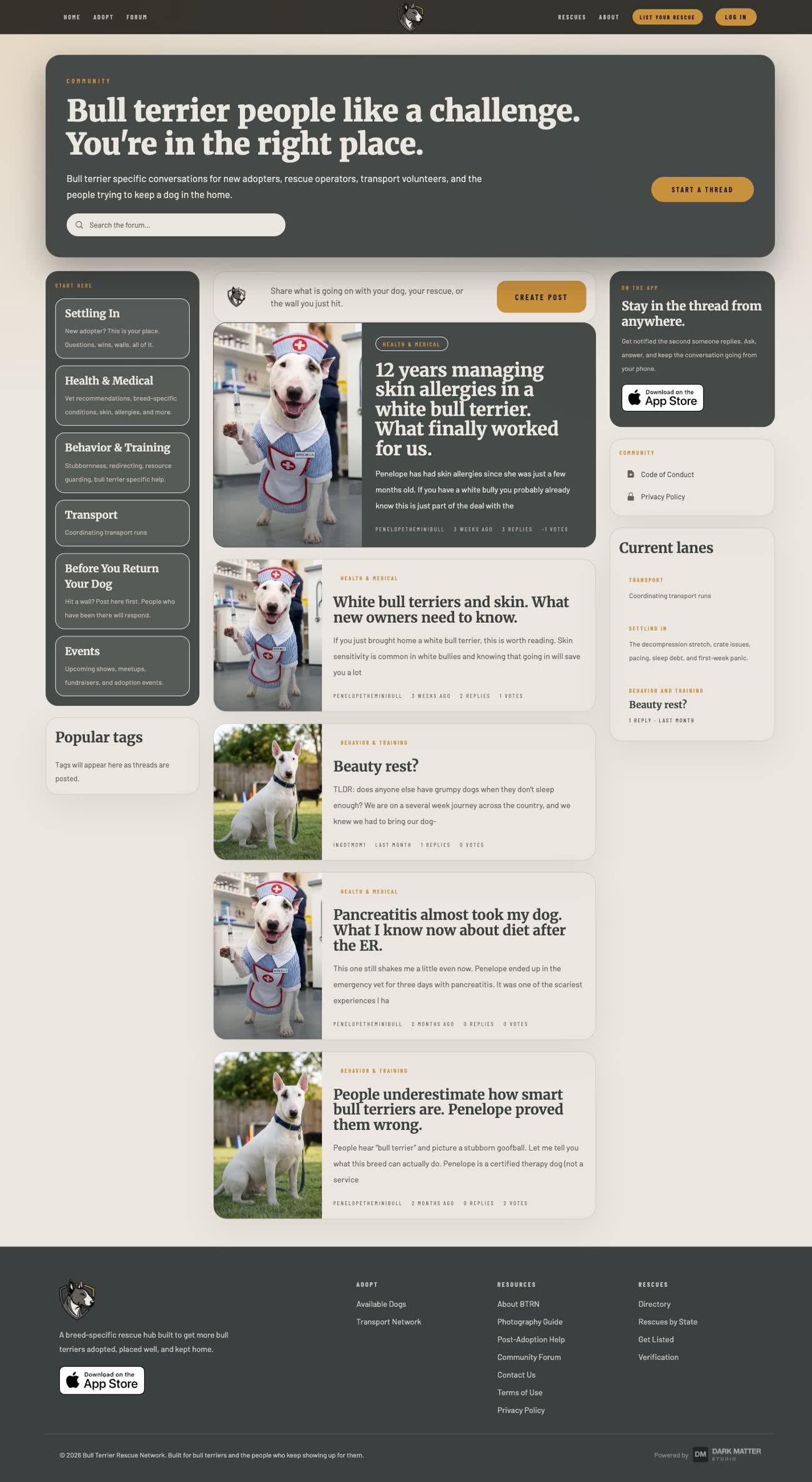 Bull Terrier Rescue Network forum landing page showing the board list, a featured thread, and recent discussions